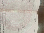 BÁN LÔ ĐẤU GIÁ ĐOÀN XÁ – GIÁ HIẾM KHU VỰC, ĐƯỜNG 6M, 4 ĐƯỜNG THÔNG 