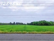 Siêu phẩm - Bán đất mặt tiền đường DT 827B, Châu Thành, Long An, DT