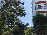 Bán Đất Nam Việt Á 100m², Sát Lô Góc Gần Sông, Vị Trí Đẹp, Giá 10,5