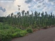 Bán đất tại Bình Trung, Châu Đức, Bà Rịa Vũng Tàu, DT 1.000m2, giá