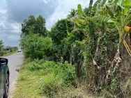 SIÊU PHẨM ĐẤT ĐẸP CHÍNH CHỦ - Phù Hợp Cho Mọi Gia Đình