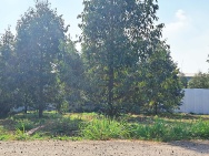 5x26 MT NHỰA LỚN  NGAY DT770B và KDC XUÂN TÂN, TP LONG KHÁNH. ĐN