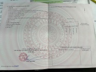 ĐẤT 90,2M² QUANG TRUNG MINH ĐỨC – CÁCH THƯỢNG ĐỨC HƠN 100M – GIÁ