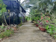 Đất nền vuông vức 285m2 tại Phú Tân, TP Bến Tre – giá rẻ bất ngờ!