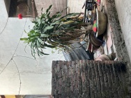 Bán đất Việt Hưng - Oto đỗ cổng -ô tô tránh cực gần Vuông như bánh