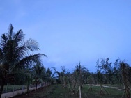 CHỈNH CHỦ BÁN SIÊU PHẨM ĐẤT ĐẸP - Phù Hợp Cho Mọi Gia Đình