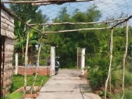 Bán Đất Thổ Cư 864m2 Sổ Hồng đường Nguyễn An Ninh Tân Quy Đông, Sa