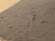 LÔ ĐẤT ĐẸP SỔ HỒNG RIÊNG TRUNG TÂM XÃ BÌNH KHÁNH,HCM