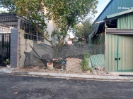 Tìm khách đất Nam Hồng 96m2, mt5m, ô tô đỗ cửa, 6.65 tỷ, Đông Anh.