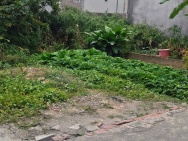 Đất Bắc Hồng 53m2, mt4.3m, ô tô, 3.5 tỷ, Đông Anh, gần phố.