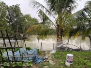 Hơn 13000m2, Đất ruộng SXNN, sẵn nhà kho,.. mt150m, 6.5 tỷ, có TL,