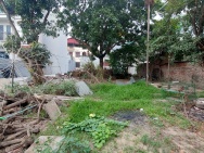 Đất SXNN, xen kẹt, 348m2, mt15m, 3.6 tỷ. Bắc Hồng, Đông Anh.