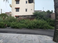 Ô tô ngủ trong đất 50m2, mt9m, 4.x tỷ, Nguyên Khê, Đông Anh, đối
