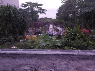 Đất giãn dân 150m2, mt6m, 2 xe ô tô, Bắc Hồng, Đông Anh, 9.9 tỷ.