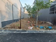 Bán đất Nam Hồng 134m2, mt6.5m, ô tô vào cửa, 7.66 tỷ, Đông Anh.