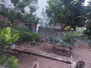 Cần bán gấp 120m2, mt12m, 8.16 tỷ Đại Mạch, Đông Anh (Thiên Lộc),