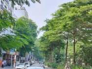 Bán nhà mặt phố Bưởi, 90m2, mặt tiền 5m, phù hợp xây building,