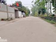 Chủ đất bán lô đẹp Đồng Trạng Cổ Đông, giá tốt cho người thiện chí