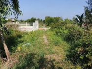 Bán Đất Xã Hòa Khánh Tây, Huyện Đức Hòa, Long An