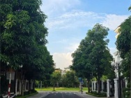 BÁN BT VINHOMES SMART CITY ĐẠI MỖ - NAM TỪ LIÊM - 284Mx4T, MT 16M-