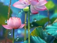 BÁN LÔ ĐẤT ĐƯỜNG MỸ ĐA ĐÔNG 8, NGANG 6M5, PHÙ HỢP XÂY CĂN HỘ