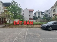 bán đất phân lô khu 31Ha Trâu Quỳ, 250m, mặt tiền 12.5m, đường