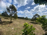 CHÍNH CHỦ BÁN SIÊU PHẨM *** BÁN NHANH ĐẤT 2 MẶT TIỀN ĐẸP Phù Hợp