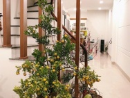 NHÀ PHỐ LẠC LONG QUÂN 45M 5T 11,6 TỶ GẦN ĐƯỜNG Ô TÔ- GẦN HỒ TÂY-VỊ