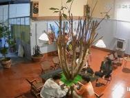 Do ko có thời gian, mình cho thuê hoặc sang nhượng lại quán coffee