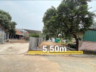 Chính chủ cần bán gấp 100m2 full thổ cư tại Phú Cát - Hà Nội, giá
