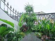 NHÀ LÔ GÓC – NGÕ Ô TÔ TẢI – CÁCH PHỐ HOÀNG HOA THÁM HƠN 20M
Căn