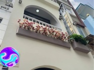 Nhà Đường Dạ Nam Quận 8 Phường 2 Cũ.