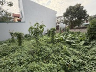 CẦN BÁN 238M ĐẤT-BÁT KHỐI GIA LÂM-LÔ GÓC-VIEW HỒ-MẶT TIỀN RỘNG-MẶT NGÕ ÔTÔ TRÁNH