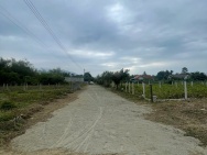 CHỦ CẦN ĐỂ LẠI LÔ ĐẤT ĐẸP NỞ HẬU XÃ DIÊN BÌNH - DIÊN KHÁCH THỔ CƯ