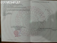 CHÍNH CHỦ CẦN TIỀN BÁN GẤP NHÀ CẤP 4 - 3 PHÒNG NGỦ TP. MỸ THO, TIỀN