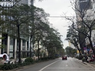 BÁN BIỆT THỰ LÔ GÓC LÁNG HẠ - ĐỐNG ĐA - 430M2 - MT 16M - Ô TÔ ĐỖ