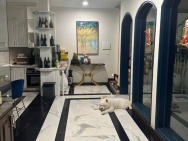 PHỐ VIP- MẶT TIỀN KHỦNG -HOA HẬU TÂY HỒ PHỐ NGUYỄN ĐÌNH THI 92M 4T