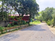 Sốc lô đất 101m2 Phú Cát view Hồ, khu vực trung tâm Hòa Lạc. Phù
