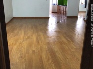 Chính chủ cần cho thuê căn 508B chung cư Riverside Tower 79 Thanh