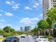 Bán Toàn Văn Phòng Lô Góc Mặt Phố Hồng Tiến, Long Biên 260m2 MT30m