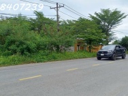 CẦN BÁN LÔ ĐẤT Mặt tiền đường Hồ Văn Tắng, Xã Tân thạnh Đông, củ