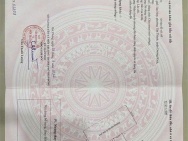 Lô đất 90m² ngõ 81 Tân Thành – đường 10m cực hiếm  Giá 2,x tỷ  ZALO