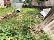 Đất Mai Đình vuông vức như tờ giấy .Giá mềm mà lời lại nhanh 70m