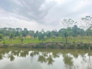 Cần bán 100m2, full thổ cư, xã Đoài Phương, Cổ Đông, Sơn Tây, Hà Nội