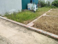 BÁN ĐẤT TỔ 9 (ẤP TRE), XÃ QUANG MINH, HN - NHÕ THÔNG BÀN CỜ, ÔTÔ