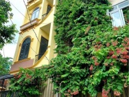 Nhà Đất Thánh Phường 6 Quận Tân Bình.