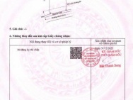 Siêu phẩm đất mặt tiền đường nhựa Thị Trấn Hậu Nghĩa, Long An, giá