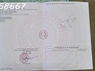 Suất đất lô góc mặt tiền 21 mét siêu phẩm tại Tống Phan, Phù Cừ,