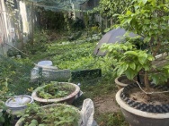 Đất Mân Quang 3 110m², giá 6.6 tỷ – vị trí đẹp, tiềm năng tăng giá