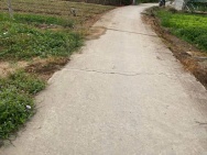 Cần tiền bán gấp lô đất thổ cư 80m2 tại Ấp Lộc Hậu, Mỹ Lộc, Tây